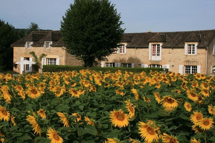 Domaine Des Hirondelles Villa Saint-Vincent-de-Cosse Ruang foto